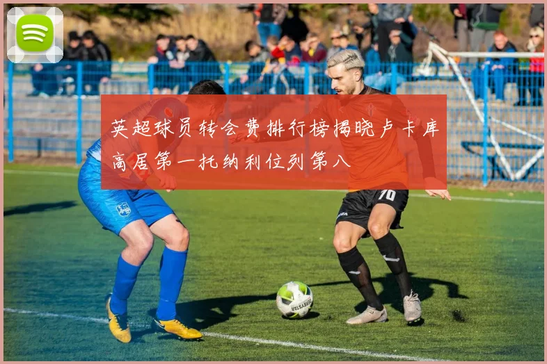 英超球员转会费排行榜揭晓卢卡库高居第一托纳利位列第八
