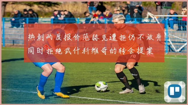 热刺两度报价范赫克遭拒仍不放弃同时拒绝武什科维奇的转会提案